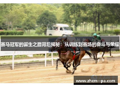 赛马冠军的诞生之路背后揭秘：从训练到赛场的奋斗与荣耀